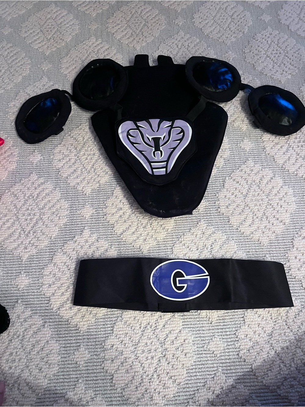 Black Cobra Costume shield and Belt